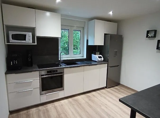 Maison De Avec Terrasse * Épinal